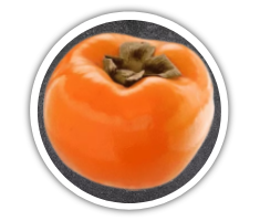 Хурма